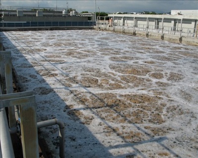 Giá thể vi sinh dạng viên xe