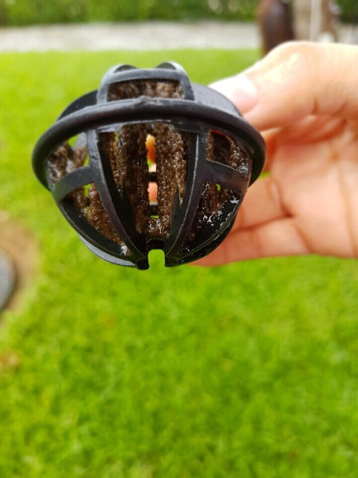 Nên chọn giá thể vi sinh như thế nào?