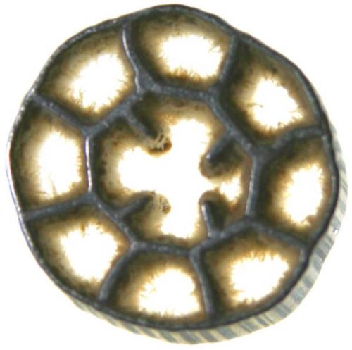 Quy trình xử lý nước thải sinh hoạt bằng công nghệ MBBR