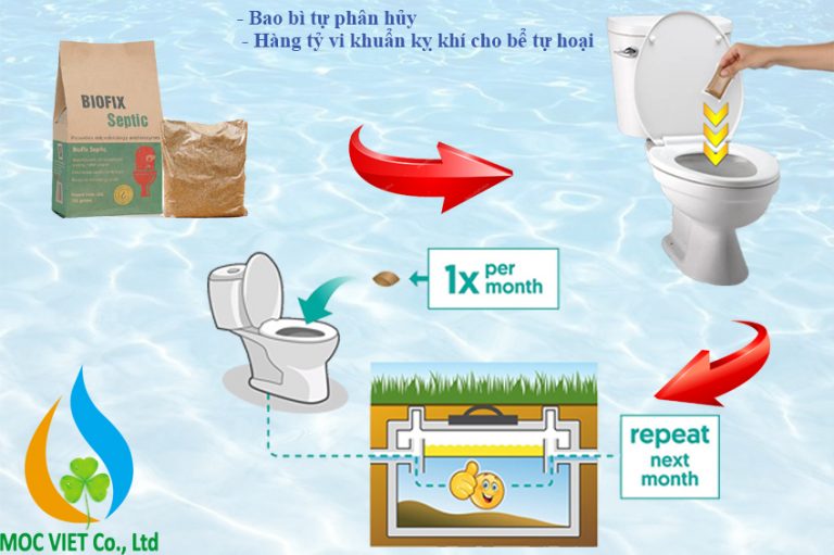 Men bể phốt Biofix Septic cho tòa nhà, siêu thị, nhà chung cư mua ở đâu 2 Men vi sinh bể phốt Biofix Septic