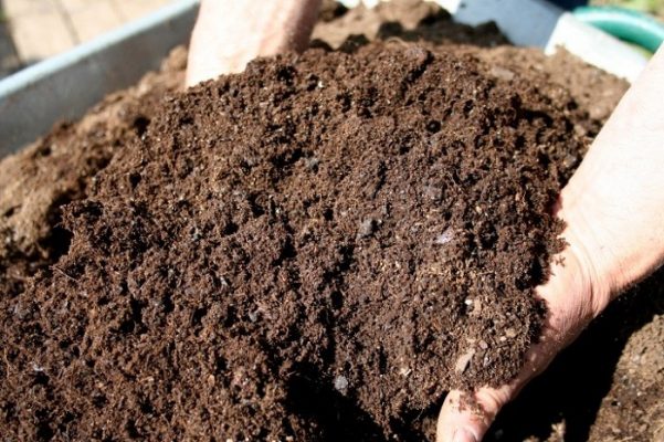 Rác sinh hoạt được vi sinh ủ phân compost Enofix Composting chuyển hóa thành phân bón vi sinh